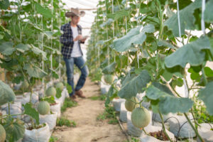 agricoltura rigenerativa