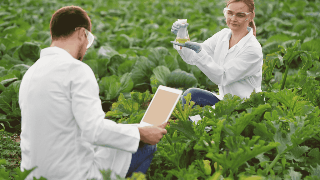 certificazioni professionali agrifood