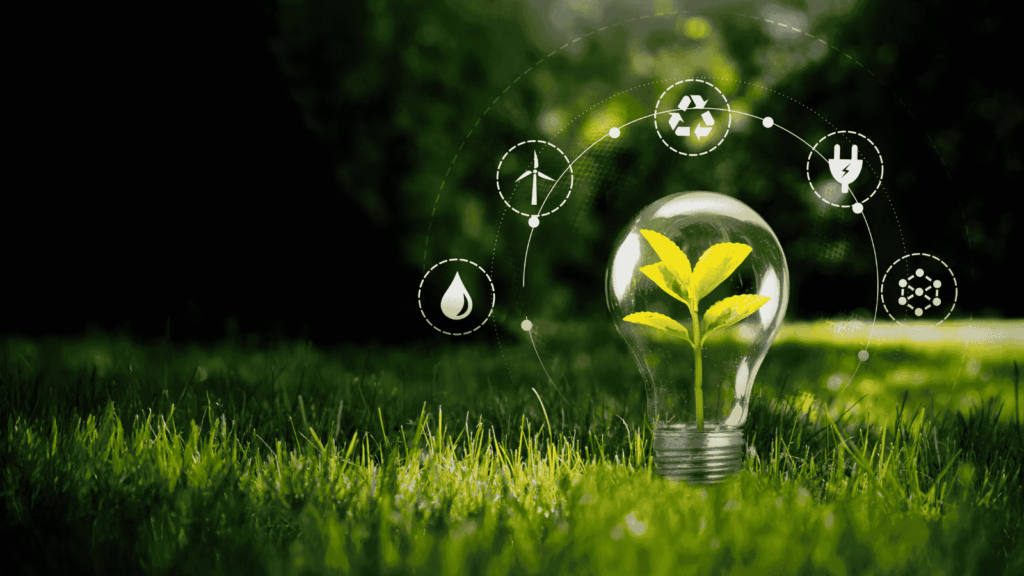 Schema del modello di agricoltura circolare per il recupero degli scarti e l'efficienza ambientale aziendale