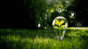 Schema del modello di agricoltura circolare per il recupero degli scarti e l'efficienza ambientale aziendale